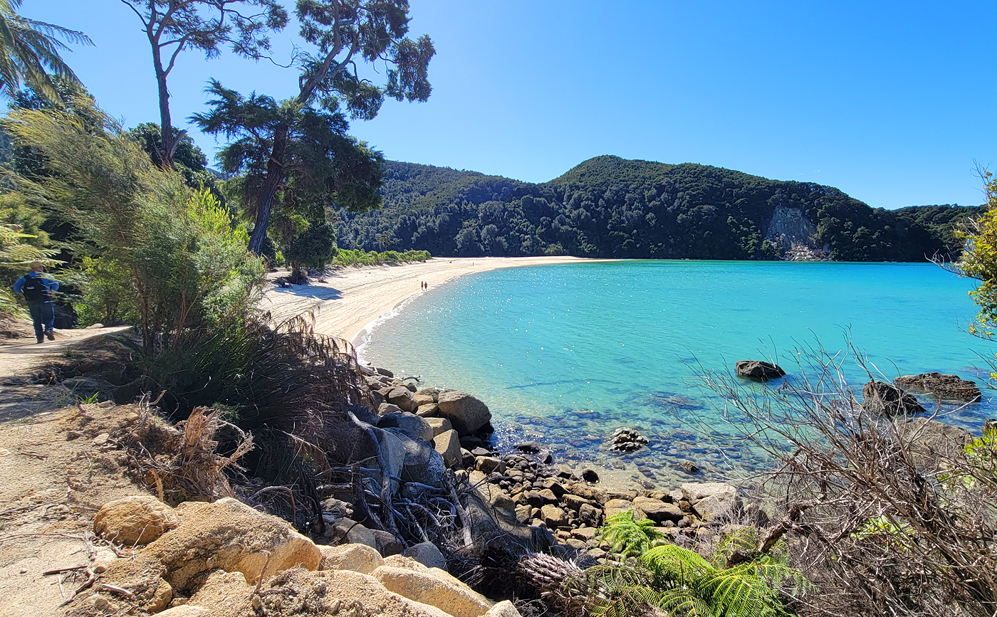 https://vpinvestments.blob.core.windows.net/images/spotlight/Abel-Tasman-Coastal-Track-beach.jpg